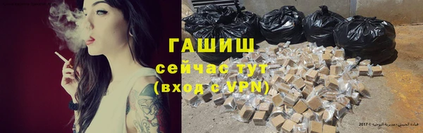 твердый Арсеньев