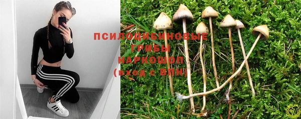 таблы Саяногорск