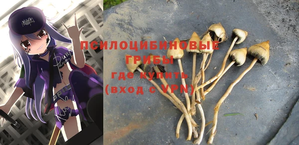 дмт Армянск