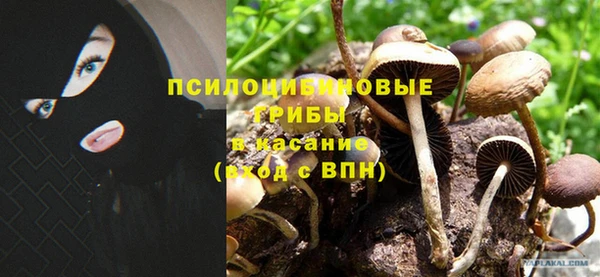 гашиш Аркадак