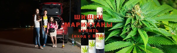 твердый Арсеньев